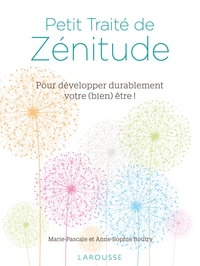 PETIT TRAITE DE ZENITUDE