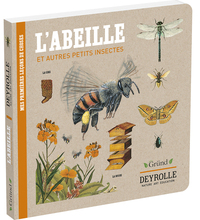L'abeille et autres petits insectes - Deyrolle