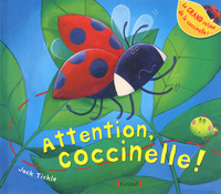 Attention, coccinelle!