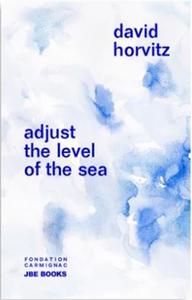 DAVID HORVITZ ADJUST THE LEVEL OF THE SEA /ANGLAIS