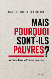 MAIS POURQUOI SONT-ILS PAUVRES? - VOYAGE DANS LA FRANCE EN CRISE