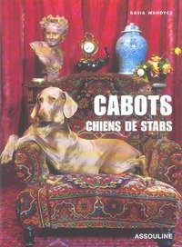 CABOTS CHIENS DE STARS