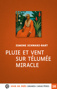 PLUIE ET VENT SUR TELUMEE MIRACLE