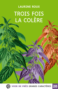 TROIS FOIS LA COLERE