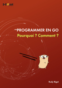 Programmer en go : pourquoi ?  comment ?