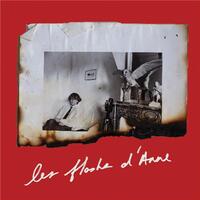 Anne Day Les Flashes D Anne /anglais