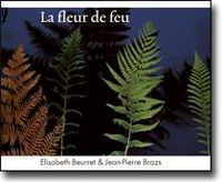 LA FLEUR DE FEU