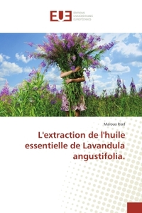 L'extraction de l'huile essentielle de Lavandula angustifolia.