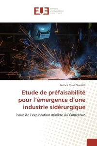 Etude de prefaisabilite pour l'emergence d'une industrie siderurgique
