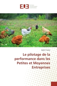 Le pilotage de la performance dans les Petites et Moyennes entreprises