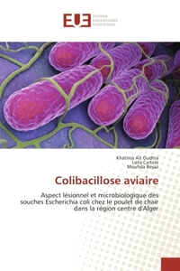 Colibacillose aviaire
