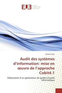 Audit des systèmes d'information: mise en oeuvre de l'approche Cobit4.1