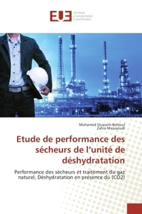 Etude de performance des secheurs de l'unite de deshydratation