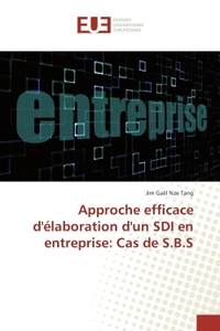 Approche efficace d'élaboration d'un SDI en entreprise: Cas de S.B.S