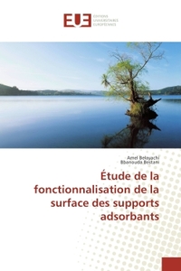 Étude de la fonctionnalisation de la surface des supports adsorbants