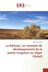 Le Boboye, un exemple de developpement de la petite irrigation au Niger (Sahel)