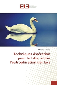 Techniques d'aération pour la lutte contre l'eutrophisation des lacs