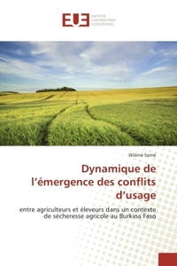 Dynamique de l'emergence des conflits d'usage