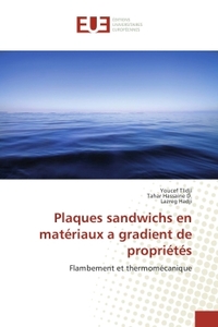 Plaques sandwichs en materiaux a gradient de proprietes