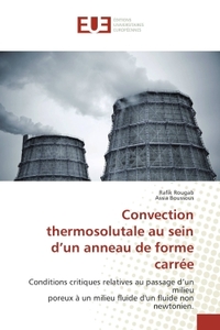 Convection thermosolutale au sein d'un anneau de forme carrée