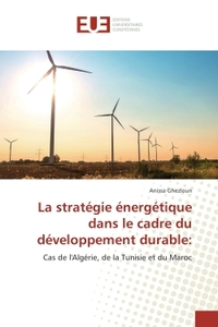 La stratégie énergétique dans le cadre du développement durable: