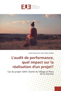 L'audit de performance, quel impact sur la realisation d'un projet?