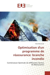 Optimisation d'un programme de reassurance: branche incendie