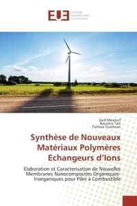Synthèse de Nouveaux Matériaux Polymères Echangeurs d'Ions