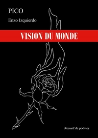 VISION DU MONDE