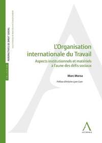 L'ORGANISATION INTERNATIONALE DU TRAVAIL - ASPECTS INSTITUTIONNELS ET MATERIELS A L'AUNE DES DEFIS S