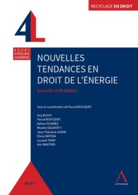 NOUVELLES TENDANCES EN DROIT DE L'ENERGIE - SECURITE ET FLEXIBILITE