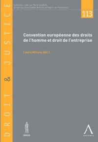 CONVENTION EUROPEENNE DES DROITS DE L'HOMME ET DROIT DE L'ENTREPRISE - L'INFLUENCE DES DROITS DE L'H