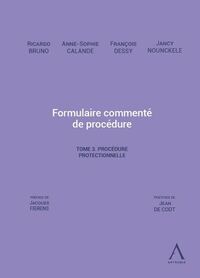 Formulaire commenté de procédure - Tome 3. La procédure protectionnelle