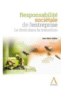 RESPONSABILITE SOCIETALE DE L'ENTREPRISE