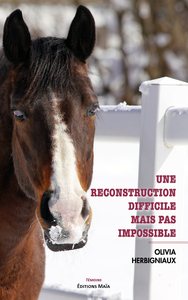 Une reconstruction difficile mais pas impossible