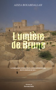 Lumière de brune