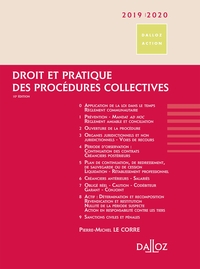 Droit et pratique des procédures collectives 2019/2020 - 10e ed.