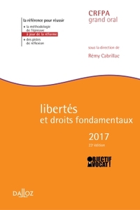 Libertés et droits fondamentaux 2017 - 23e éd.