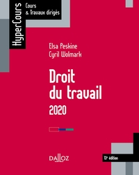 Droit du travail 2020 - 13e ed.