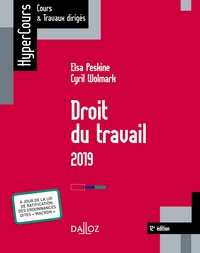 Droit du travail 2019 - 12e éd.