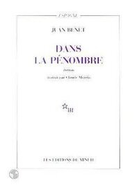 Dans la pénombre