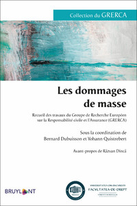 LES DOMMAGES DE MASSE