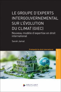 LE GROUPE D'EXPERTS INTERGOUVERNEMENTAL SUR L'EVOLUTION DU CLIMAT (GIEC) - NOUVEAU MODELE D'EXPERTIS