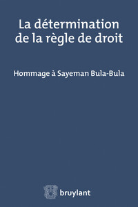 LA DETERMINATION DE LA REGLE DE DROIT