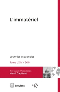 Le droit de l'immatériel