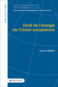 DROIT DE L'ENERGIE DE L'UNION EUROPEENNE