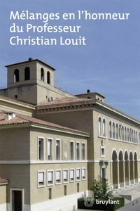 MELANGES EN L'HONNEUR DU PROFESSEUR CHRISTIAN LOUIT