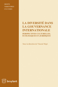 LA DIVERSITE DANS LA GOUVERNANCE INTERNATIONALE