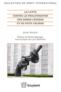 LA LUTTE CONTRE LA PROLIFERATION DES ARMES LEGERES ET DE PETIT CALIBRE EN DROIT INTERNATIONAL
