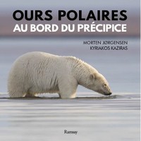 OURS POLAIRE AU BORS DU PRECIPICE